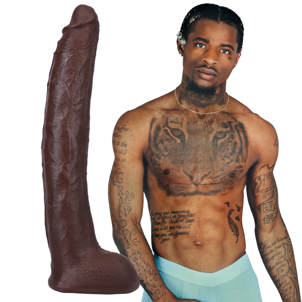 Signature Cocks - Damion Dayski - 12 Inch Ultraskyn Cock With Removable Vac-U-Lock Suction Cup - Chocolate