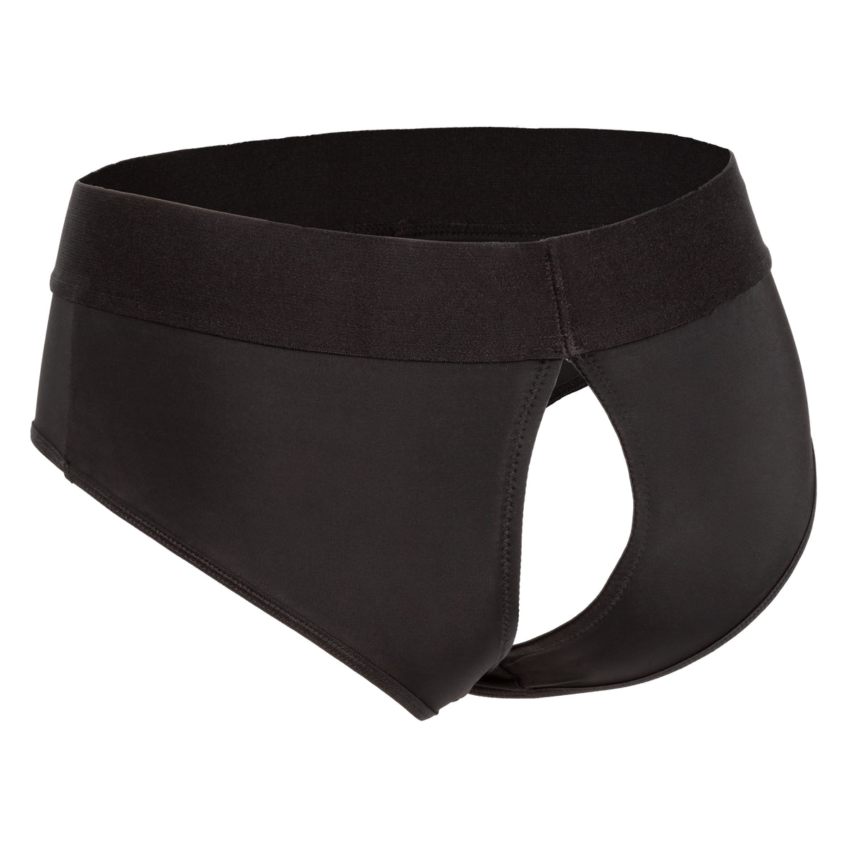 Her Royal Harness Backless Brief - S/m