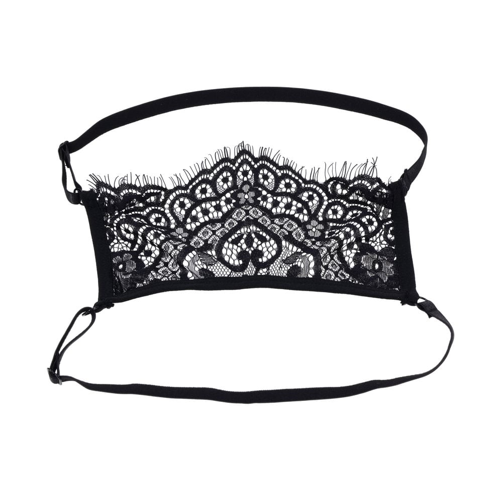 Veiled Vision Lace Blindfold