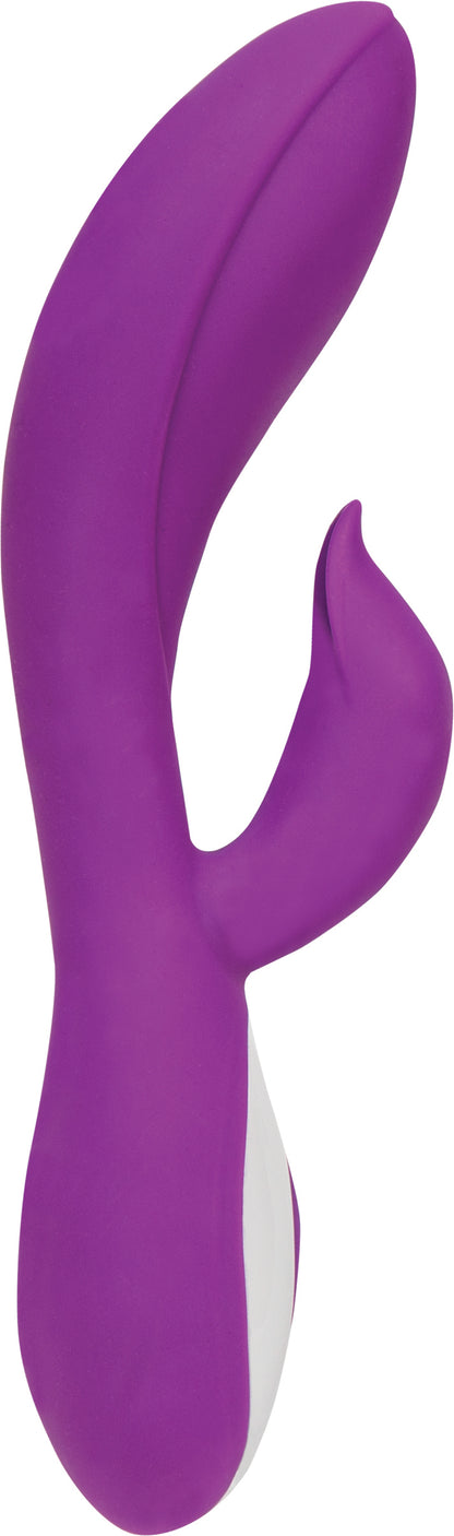 Wonderlust Harmony - Purple