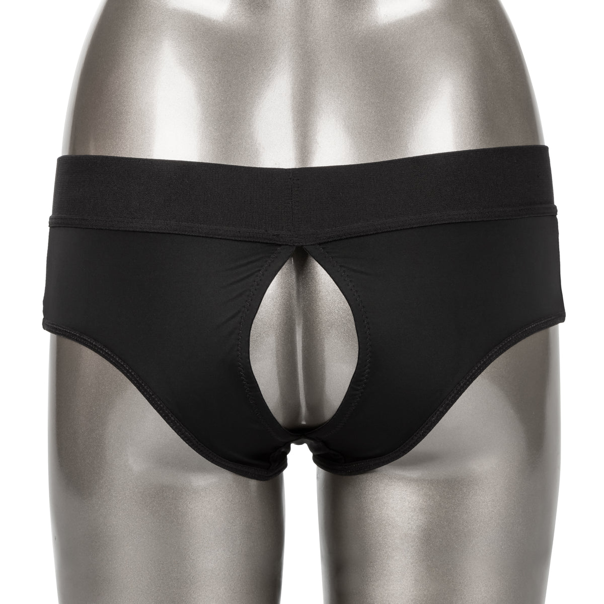 Her Royal Harness Backless Brief - S/m